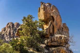 Calanche, bizarre rock formations 400 m above sea level, UNESCO World Heritage Site, Corsica,