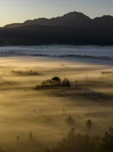 Fog, clouds of fog, trees, back light, sunrise, mountains, aerial view, Loisach-Lake Kochel-Moore,