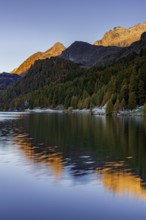 Mountain lake, reflection, mountains, larch forest, autumn discoloration, autumn, sunrise, Lake