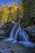 Waterfall, river, larch forest, autumn color, autumn, mountains, morning light, Morteratsch Valley,