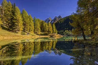 Mountain lake, reflection, mountains, larch forest, autumn discoloration, autumn, sunny, Lake