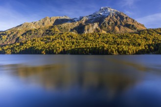 Mountains are reflected in lake, evening light, larch, autumn, autumn color, Lake Sils, Engadin,