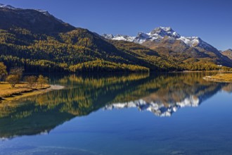 Mountain lake, reflection, mountains, larch forest, autumn discoloration, autumn, sunny,