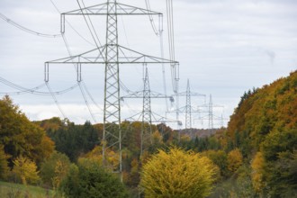 Power pylons in a vast landscape, surrounded by autumnal forests, changeable weather, beech, mixed