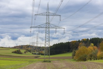 Power poles in a field with autumn-colored trees and cloudy sky, Swabian Jura, Baden-Württemberg,