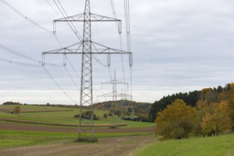 Power poles in a field under cloudy sky with autumn trees, Swabian Alps, Baden-Württemberg, Germany