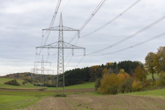 Row of electricity pylons criss-cross an autumnal landscape with meadows and trees, overcast sky,