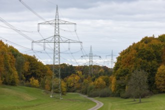 High-voltage lines cross an autumnal forest landscape, small roads lead along the trees, beech,