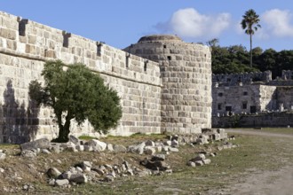Inner fortification, olive tree, bastion, Neratzia fortress, also Nerantzia, castle, first