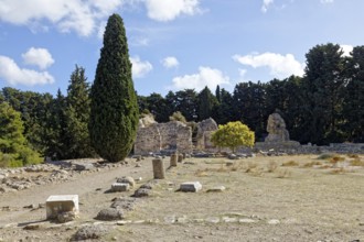 Lower terrace, with remains of the colonnades, stoa, living rooms at the back, Asclepieion, Latin