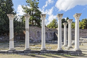 Middle terrace, Apollo temple columns, Asclepieion, Latin Aescupium, three terraces, place of