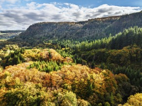 Autumn colours over Gwydir Forest Park from a drone, Afon Lledr, Road A470, Snowdonia, Eryri,