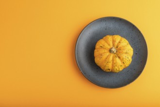 Orange Pumpkin on blue plate on orange pastel paper background. Top view, copy space, flat lay.
