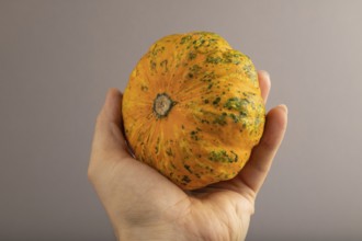 Orange Pumpkin with hand on gray pastel paper background. Side view, healthy food, vegetable,