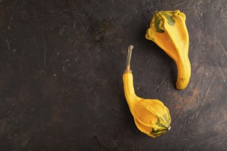 Two decorative orange Pumpkins on black concrete background, top view, flat lay, copy space,