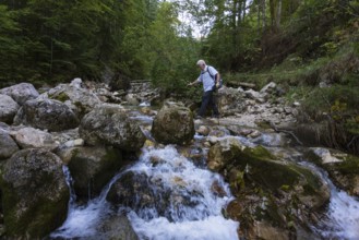 Hikers on the way to Rettenkogel and Bergwerkskogel, Schöffaubach, Postalm, Osterhorn Group,