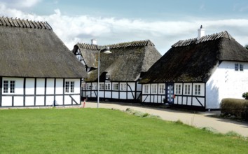 Typical half-timbered house with thatched roof by lawn on Funen, Fyn island, Denmark, Scandinavia