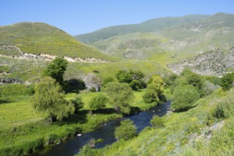 A green valley with a river and hills under a bright blue sky, picturesque nature, Vorotan River,