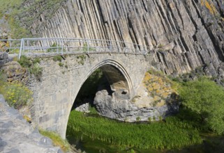 Nature surrounds an old stone bridge, which crosses a densely vegetated river and is flanked by