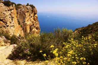 Rocks at Playa del Portet, broom flowers, coastal landscape, excursion destination, cliffs,