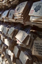 Ema, small wooden tablets with wishes and prayers, hung so that the Kami spirits or gods can