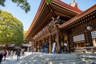 Meiji Jingu Building, Meiji Shrine, Shinto Shrine, Yoyogi Park, Shibuya, Tokyo
