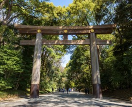 Kitasando Torii Grand Gate, Meiji Jingu Entrance, Meiji Shrine, Shinto Shrine, Yoyogi Park,