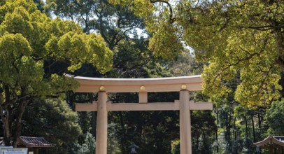 Meiji Jingu Sanno Torii at the entrance to Meiji Jingu, Meiji Shrine, Shinto Shrine, Yoyogi Park,