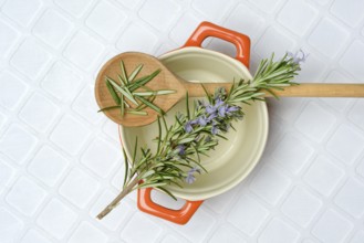 Rosemary, rosemary sprig on cooking spoon with cooking pot