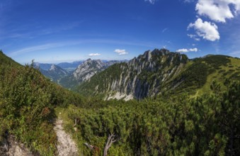 Hiking trail to Braunedlkogel with views to Scharfen and Rinnkogel, Postalm, Osterhorn Group,