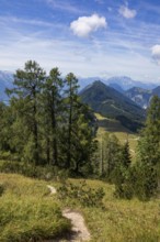 Hiking trail on the Braunedlkogel, Postalm, Osterhorn Group, Salzkammergut, Province of Salzburg,