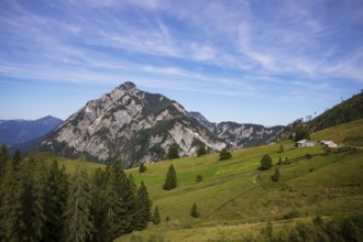 Alpine meadow with Rettenegghütte and Rinnkogel, Postalm, Osterhorn Group, Salzkammergut, Province