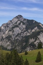 Alpine meadow with a view of the Rinnkogel, Postalm, Osterhorn Group, Salzkammergut, Province of