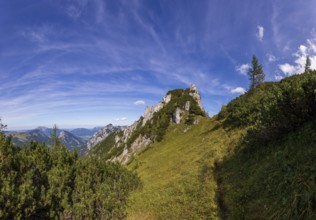 Hiking trail to Scharfen, Postalm, Osterhorn Group, Salzkammergut, Province of Salzburg, Austria