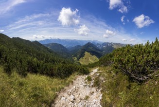 Hiking trail on the Braunedlkogel, Postalm, Osterhorn Group, Salzkammergut, Province of Salzburg,