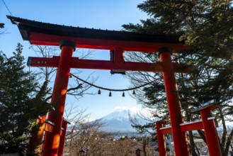 Red Torii Gate at Shinto Shrine Arakura Fuji Sengen Shrine, view of Mount Fuji Volcano Mountain,