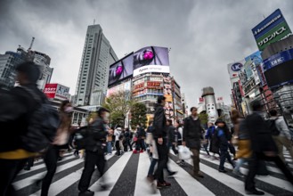 Crowd crossing zebra crossing on a large intersection, motion blur, back modern houses with
