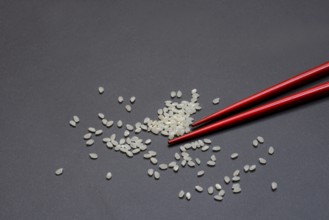 Rice and chopsticks, Oryza