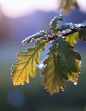 A serene landscape featuring a large tree by a stream at sunset with vibrant green grass and
