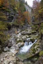 Stream in autumn in the Nothklamm, Gams, Palfau, Hieflau, Styria, Austria