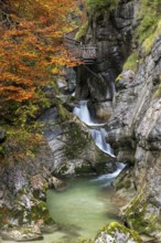 Holzsteg in der Nothklamm, autumn, Gams, Palfau, Hieflau, Styria, Austria