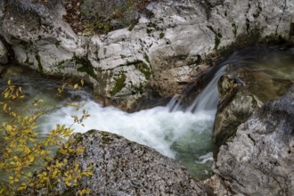 Stream in autumn in the Nothklamm, Gams, Palfau, Hieflau, Styria, Austria