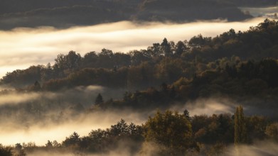 Sunrise, typical landscape in autumn with vineyards and fog, South Styrian hills, South Styrian