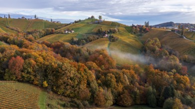 Aerial view, typical landscape in autumn with vineyards, South Styrian hills, South Styrian wine