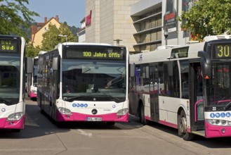 Many buses at the bus station, public transport in Hameln-Pyrmont, public transport Hameln-Pyrmont,