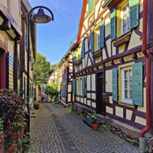 Enge gasse with half-timbered houses in the old town of Unkel, Rotweinstadt, Neuwied district,