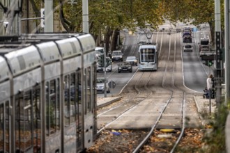Bogestra tram, line 302 on Alleestraße, driving school, training trip, tram line in the middle of