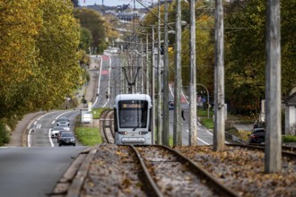 Bogestra tramway, line 305, on the Wattenscheider Hellweg, tram line in the middle of the street,