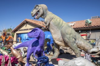 Henderson, Nevada - Dinosaurs dominate the yard of a house in suburban Las Vegas, placed there by