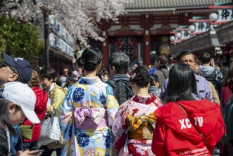 Two young Japanese woman wearing kimono surrounded by numerous visitors on Nakamise-dori shopping
